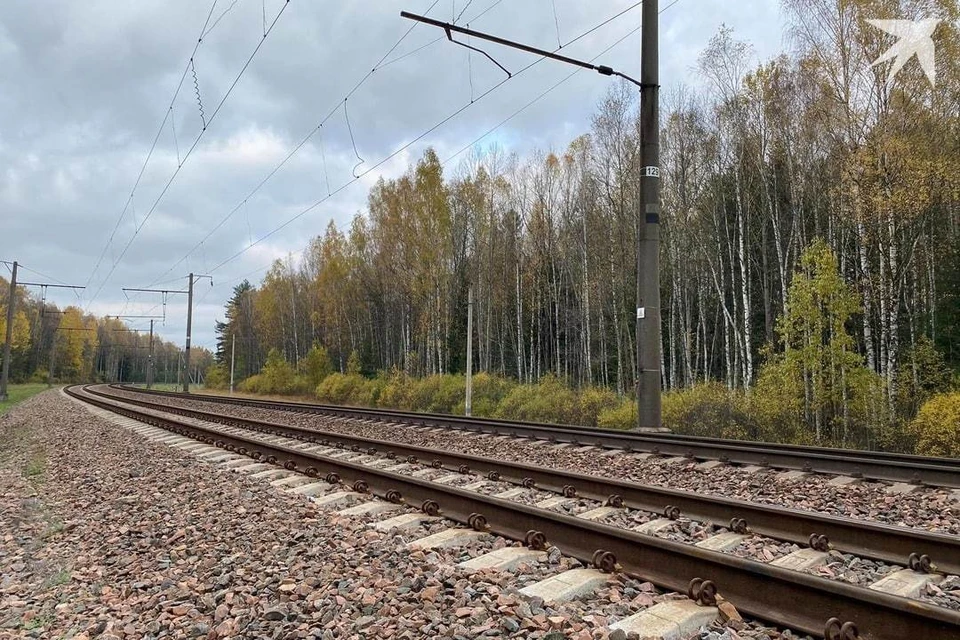 Литва рассматривает возможность перекрыть белорусским грузам железнодорожный путь через свою страну. Фото: архив "КП" носит иллюстрационный характер.