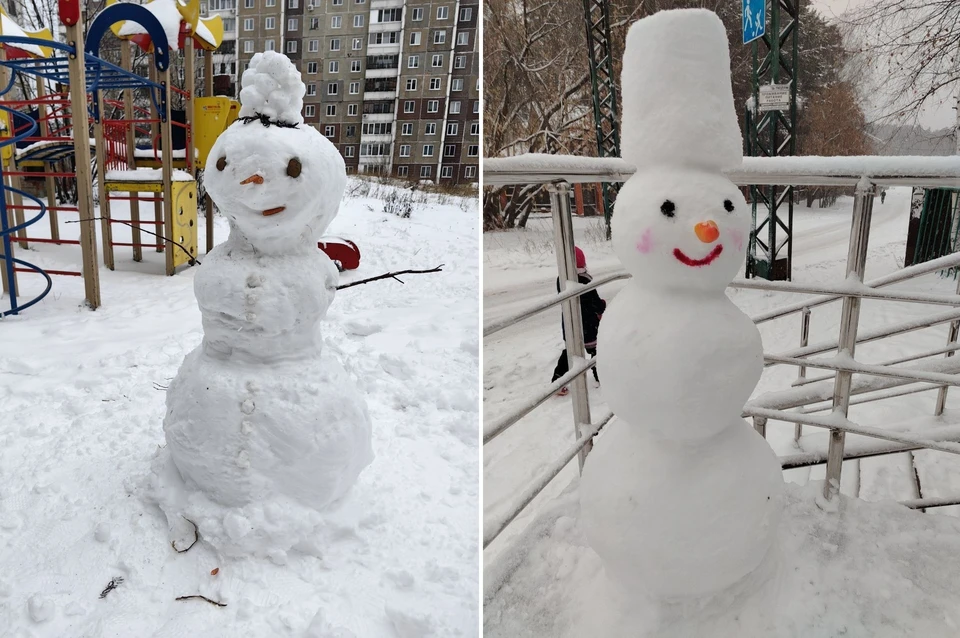 Фото: «Регион 70»