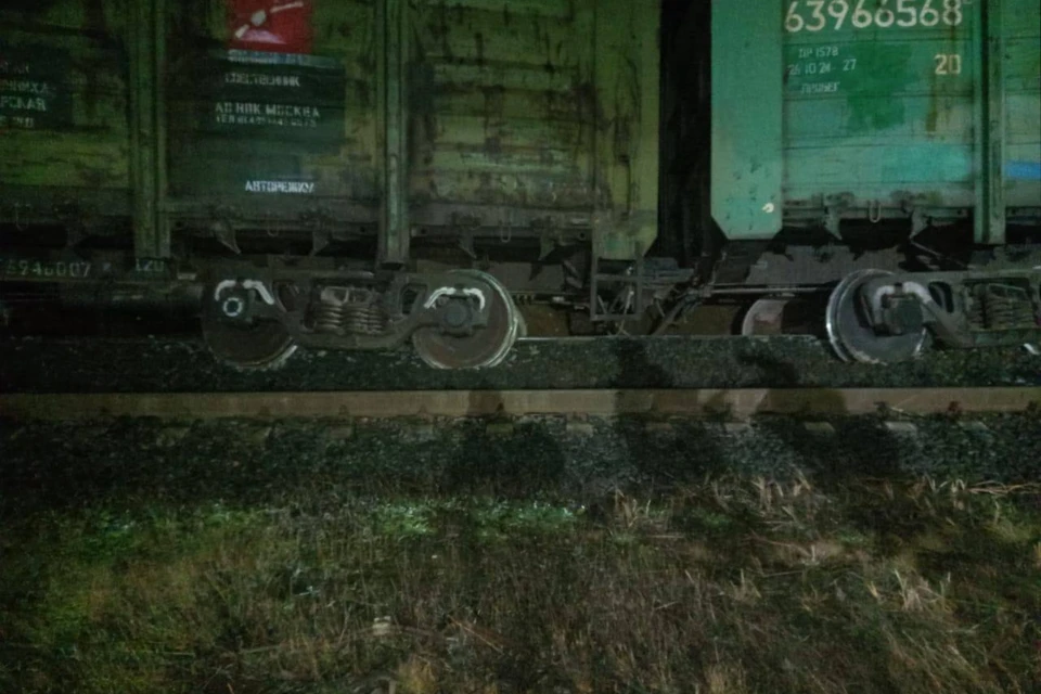 Организована проверка. Фото: t.me/sztproc