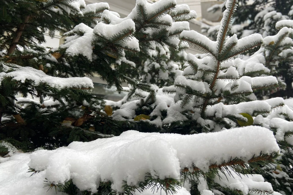Столбики термометров в Хабаровск (да и во всем крае) упали настолько, что уже можно говорить о наступлении зимы