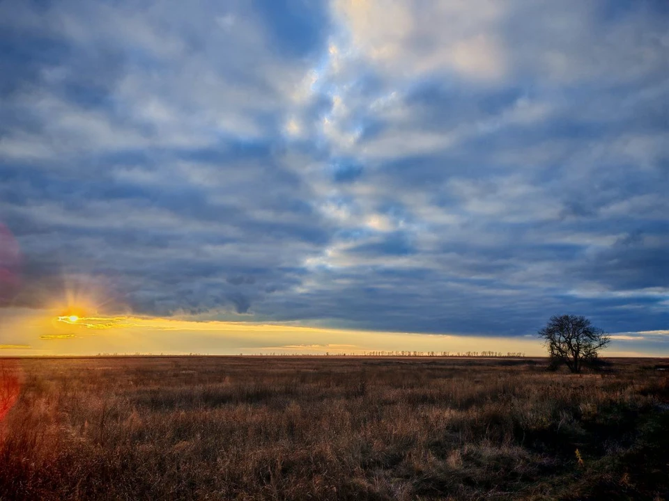 Фото Елены Маркеловой