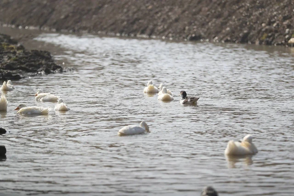Фото: тг-канал главы Ингушетии Махмуда-Али Калиматова