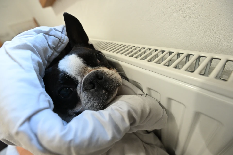 На Хрустальной, 38 и по ряду других адресов в Ульяновске систему отопления до сих пор не отрегулировали