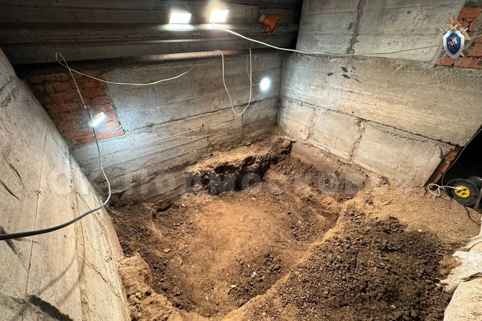 Фото: Официальный канал ГСУ СК России по Московской области