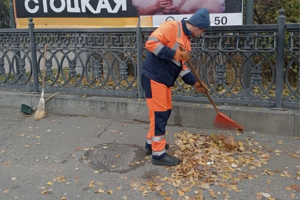 Дворники тоже в дефиците, правда, и зарплатам их не позавидуешь.