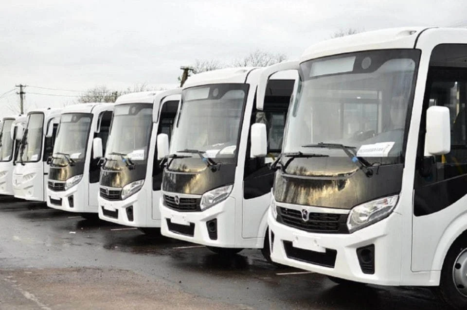 ДНР сможет закупить еще 130 автобусов в 2025 году. Фото: Минтранс ДНР