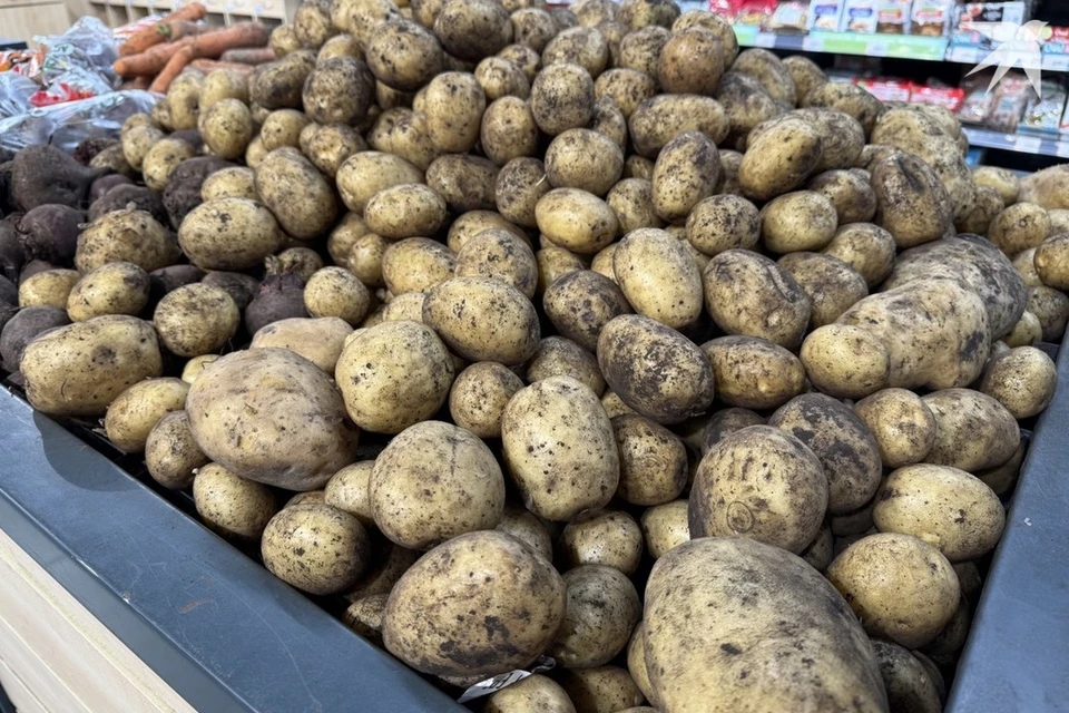 МАРТ определил допустимый размер картофеля для продажи в магазинах Беларуси. Снимок носит иллюстративный характер. Фото: архив «КП»