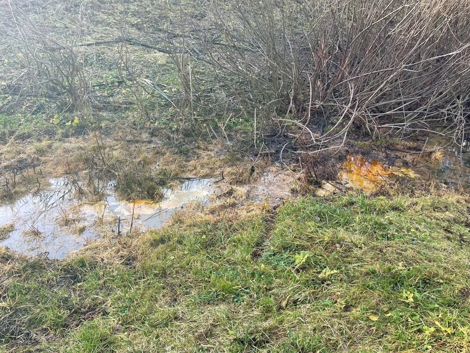 Росприроднадзор выехал на место разлива нефтепродуктов в Кстовском районе. Фото: Росприроднадзор Нижегородской области