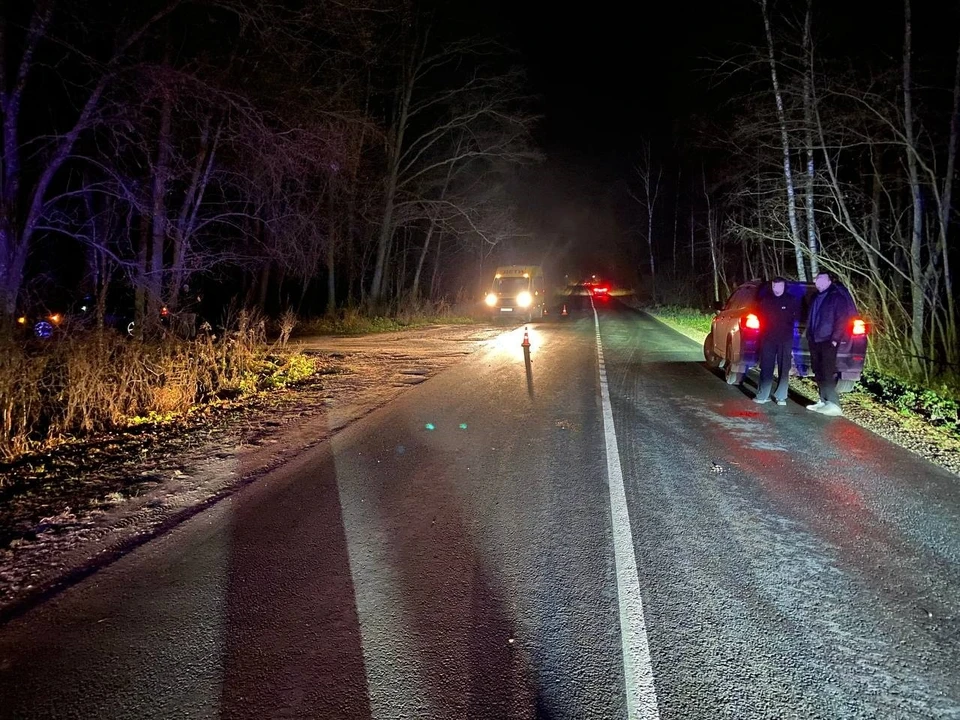 Фото Госавтоинспекции УМВД России по Владимирской области.