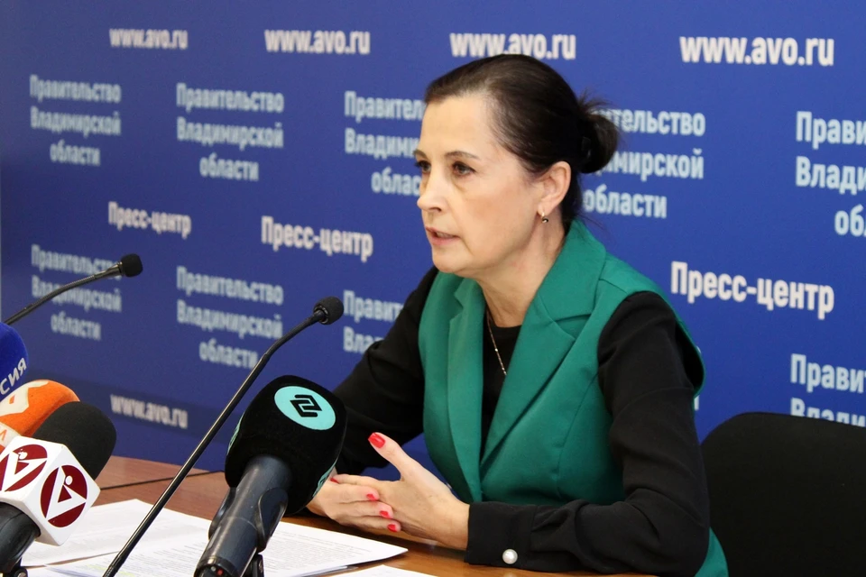 Фото с сайта Правительства Владимирской области.