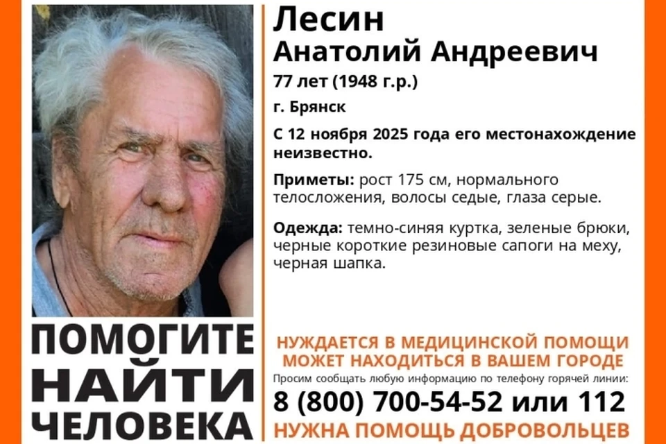 Фото: поисковый отряд "Лиза Алерт", ВКонтакте.