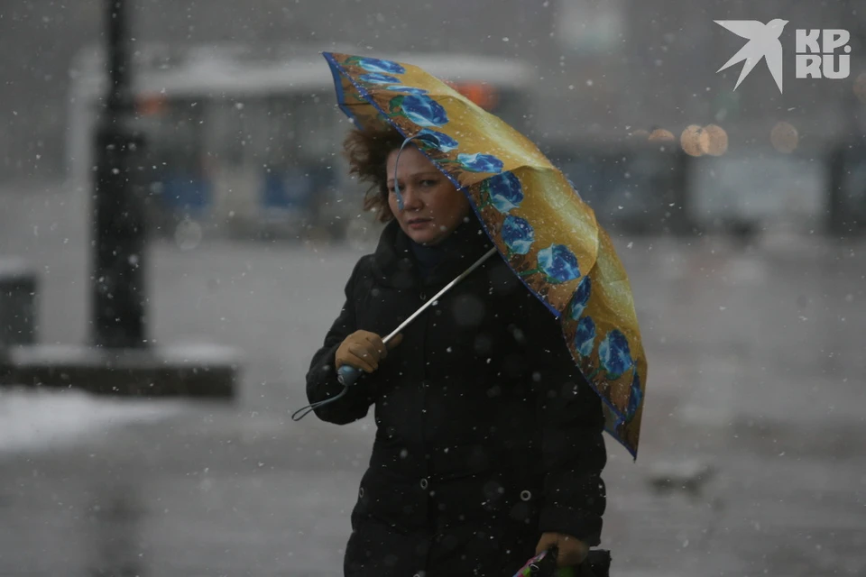 О резком изменении погоды 15-16 ноября предупредило рязанцев МЧС.