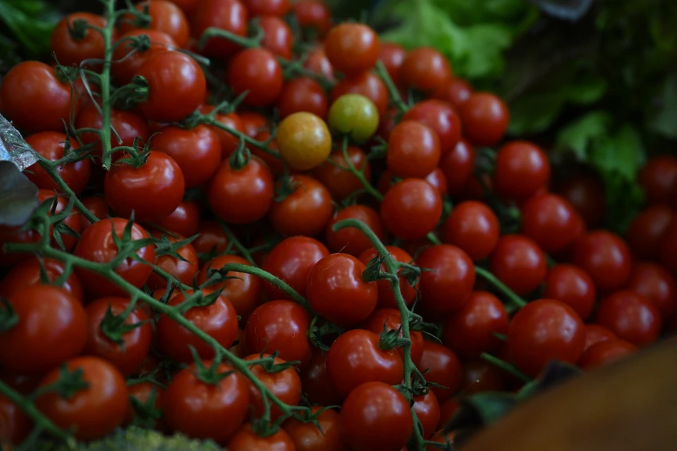 В Иркутской области в овощах и пшенице нашли запрещенные пестициды