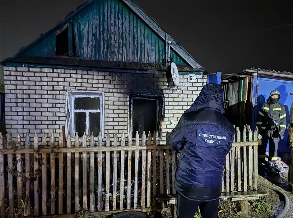 Фото: СК РФ по Саратовской области