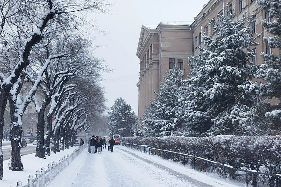 Небольшой снег ожидается в Хабаровском крае 16 ноября