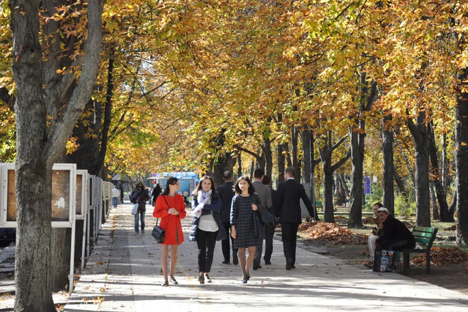 Осень в этом году выдалась теплой. Фото: КП в Молдове