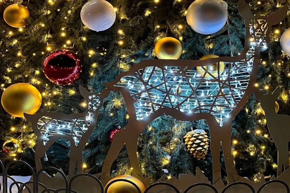 В Новосибирске начали украшать улицы к Новому году.