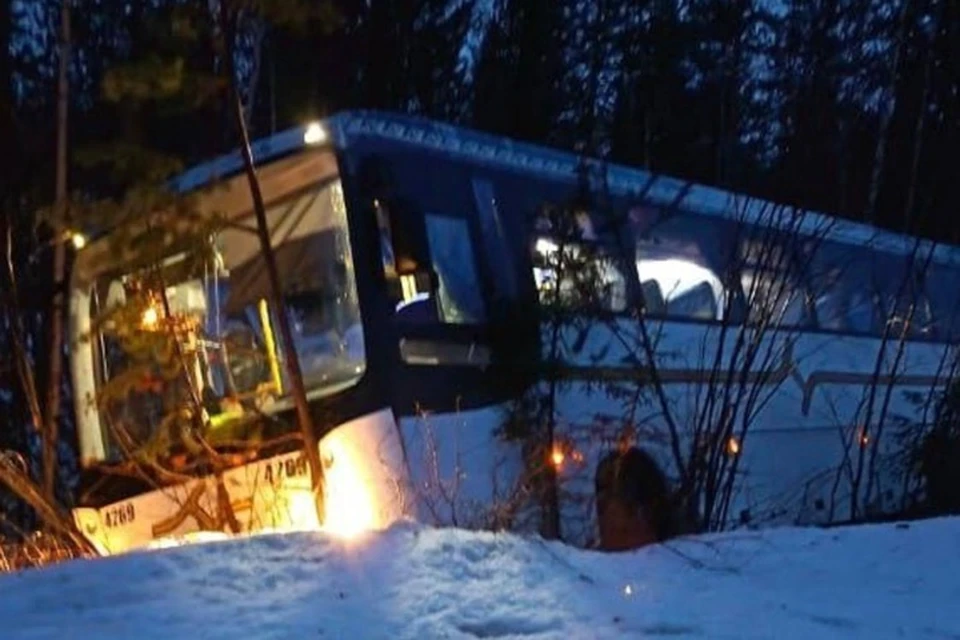 Фото: тг-канала Происшествия Ноябрьск