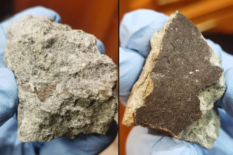 Отыщу метеорит, он меня озолотит: Как под Новгородом ищут небесное тело, пролетевшее над Москвой