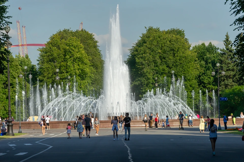 Застраивать освобожденный участок не будут.