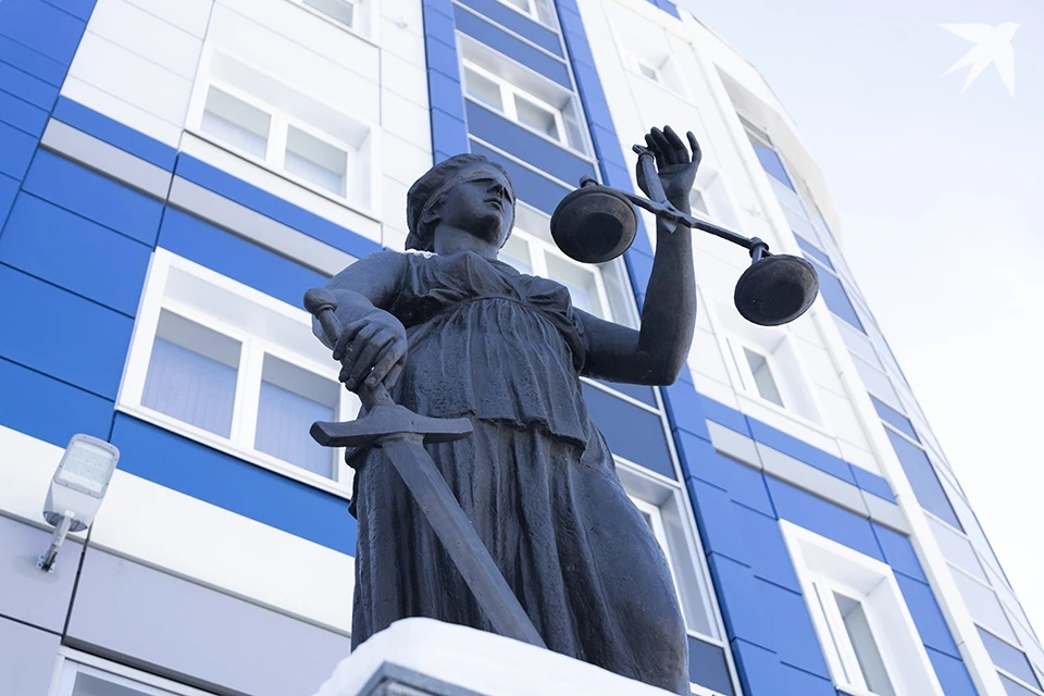 Преступный доход и средства, использованные для совершения преступлений, были конфискованы.