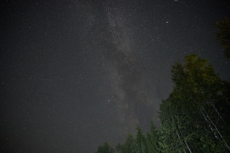 В эту ночь своего пика достигнет метеорный поток Леониды