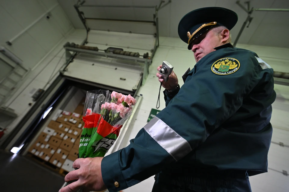 В Хабаровском крае остановили ввоз 40 тысяч зараженных цветов из Китая