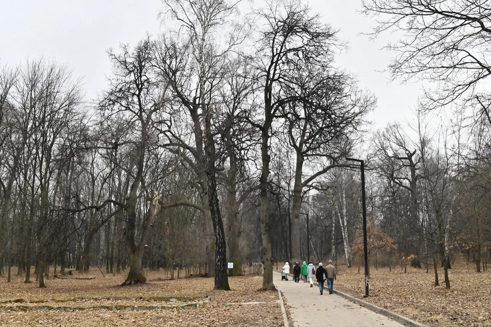 Работы пройдут в юго-западной части парка. Фото: администрация Рязани.