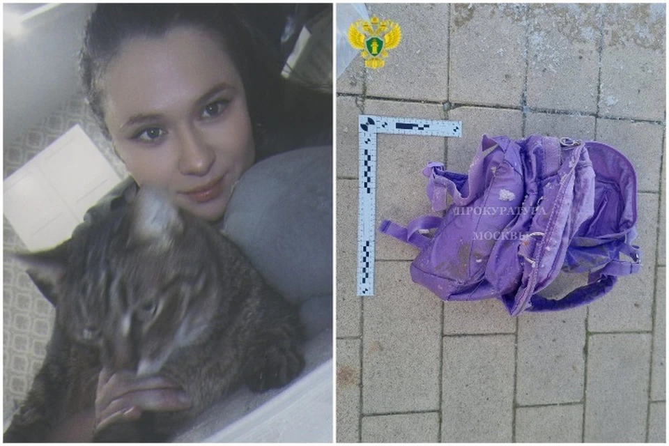 Елене коты были дороже детей. Фото: личная страница в соцсетях/прокуратура Москвы