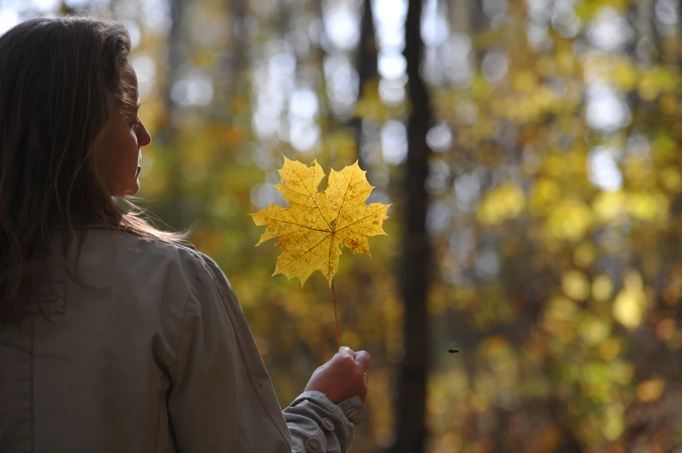 Днем во вторник воздух прогрелся до +19 градусов