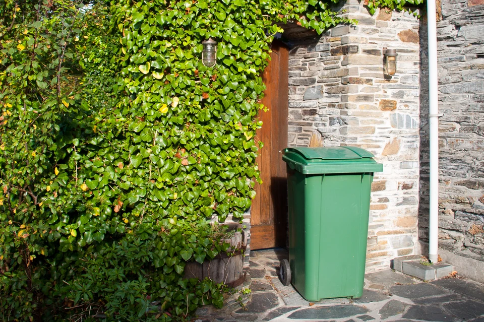 Бездомный заснул в контейнере с отбросами: утром его насмерть раздавил мусоровоз. Фото: Thomas Marchhart/Shutterstock/Fotodom.