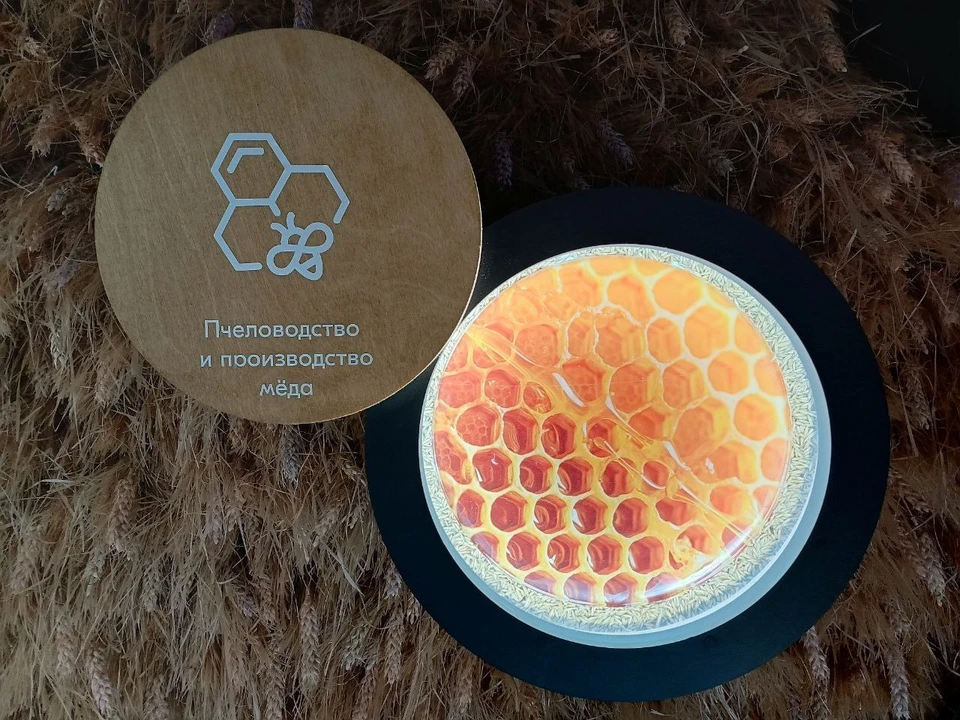 Такую инициативу в крае реализуют впервые.