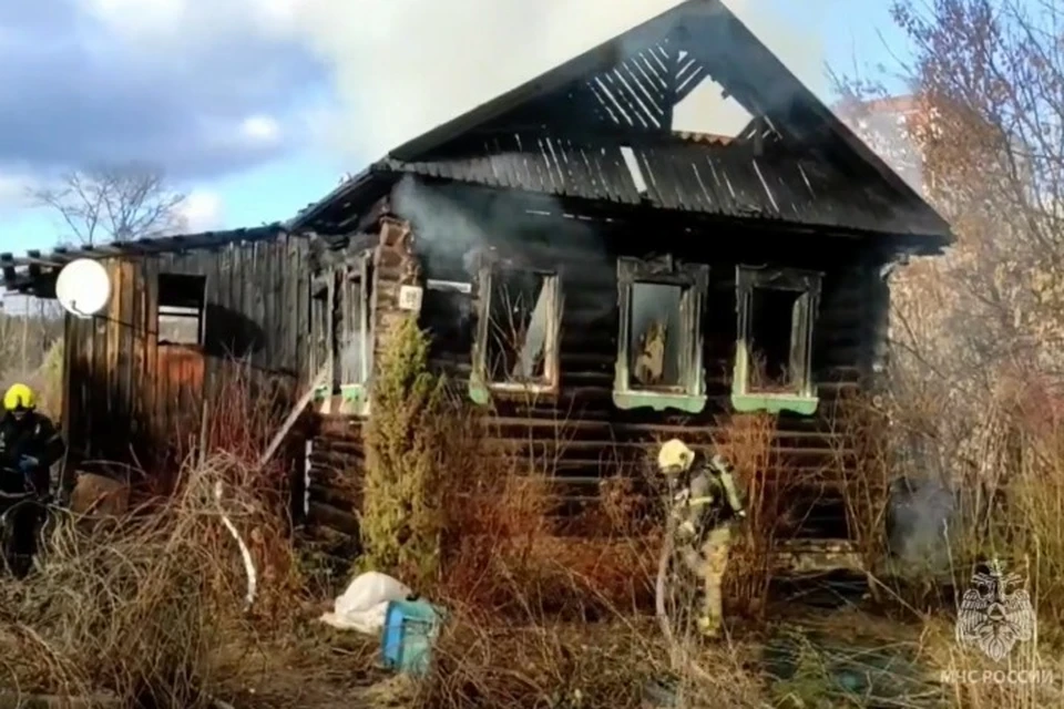 На пожаре никто не пострадал. Фото: скриншот видео МЧС Удмуртии