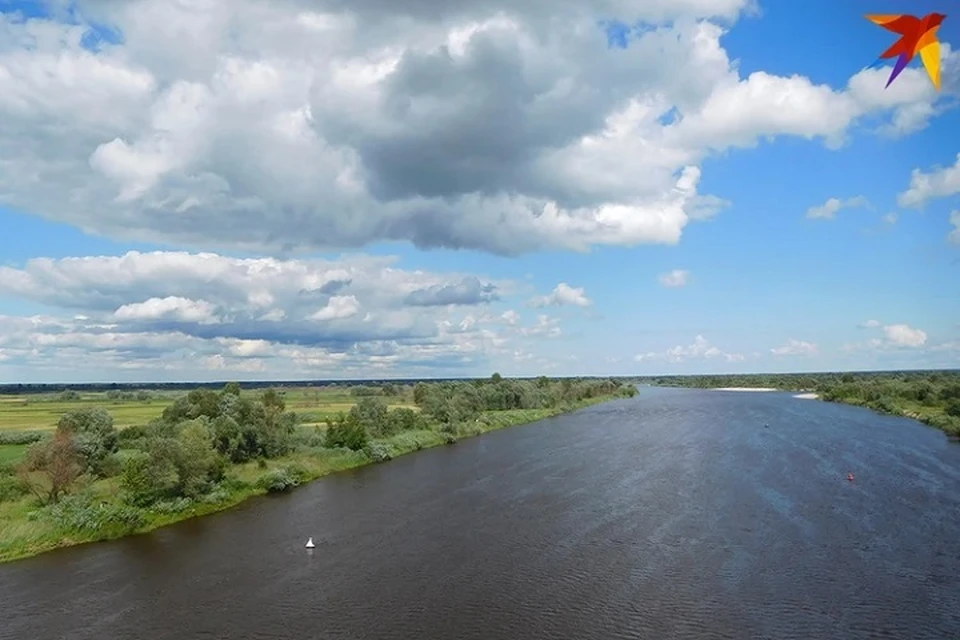 Припять называют белорусской Амазонкой. Фото используется в качестве иллюстрации: архив «КП».