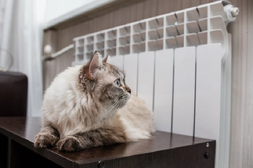 Отключения систем теплоснабжения не будет