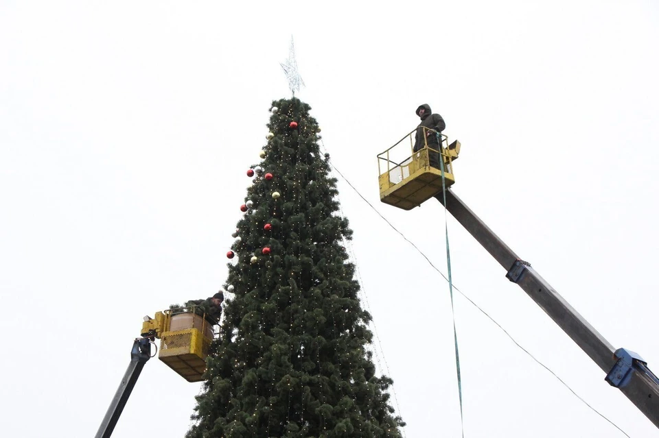 На деревья начали вешать игрушки и гирлянды. Фото: Администрация города Рязани.