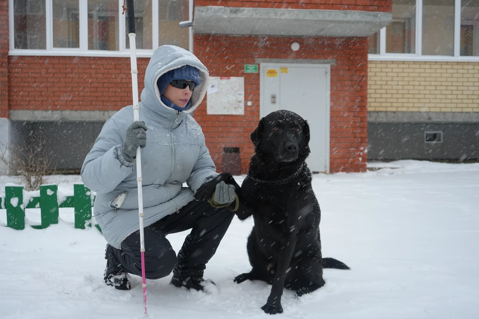 Собака-поводырь помогает незрячей Виктории Масловой делать жизнь яркой, активной и полноценной, однако не все окружающие до конца понимают, зачем человеку с тростью проводник и как вести себя рядом.