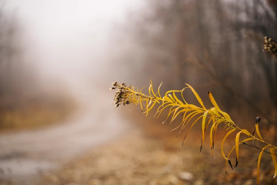Видимость составит 500 метров и менее