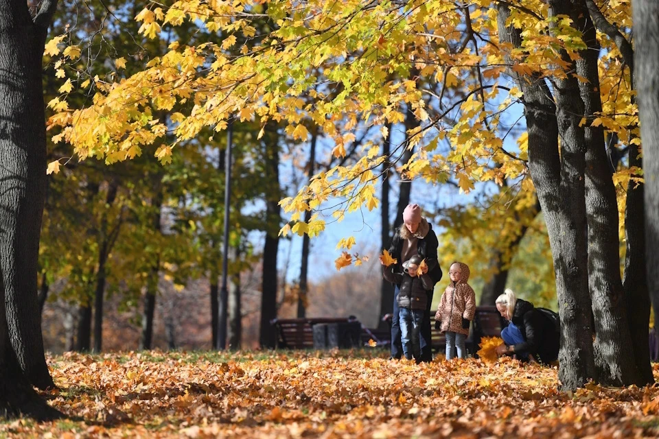 Ноябрь на Ставрополье выдался аномально теплым.
