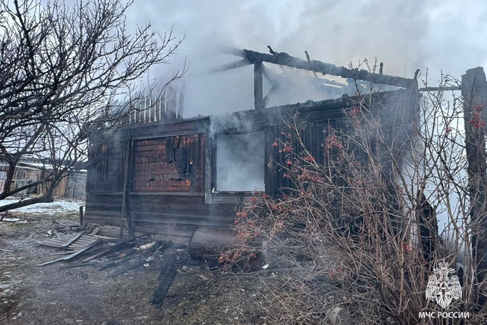 Дом сгорел из-за включенной плиты в ЕАО Фото: МЧС ЕАО