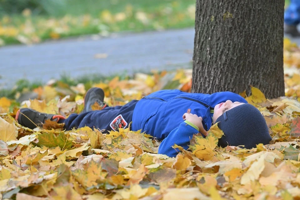 Ноябрь долго баловал ставропольцев теплом.