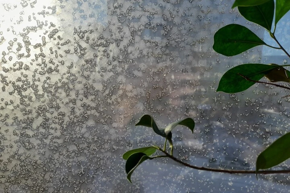 Погода на Ямале с 24 по 30 ноября