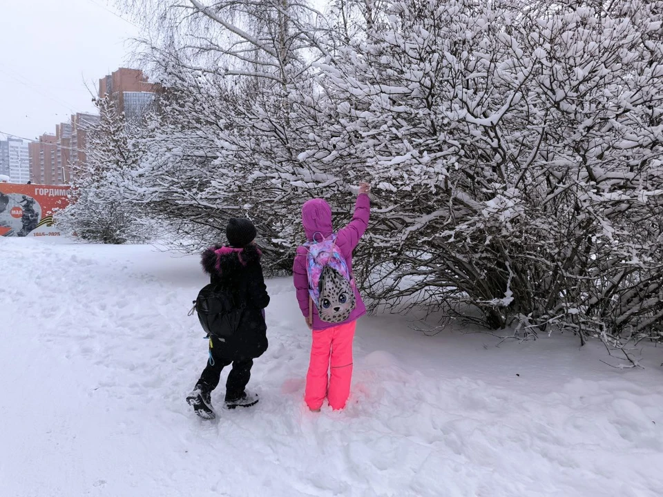 Во второй половине недели обещают резкое похолодание
