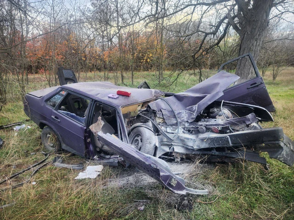 В Советском районе Крыма произошло смертельное ДТП. Фото: МВД Крыма/Tg