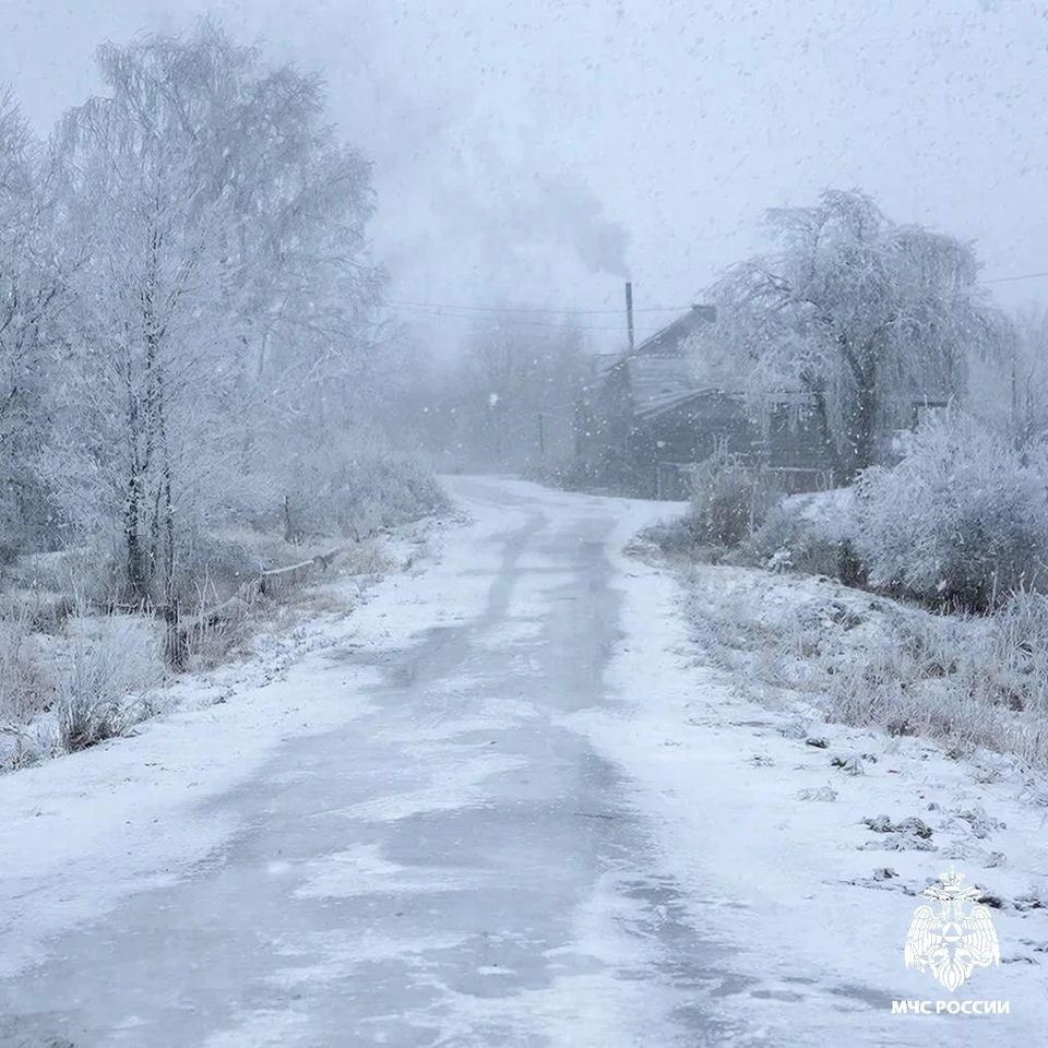 Фото: пресс-служба ГУ МЧС России по Костромской области