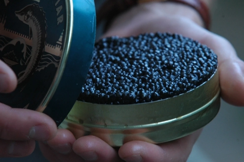 В Хабаровске задержали мужчину с 77 килограммами черной икры