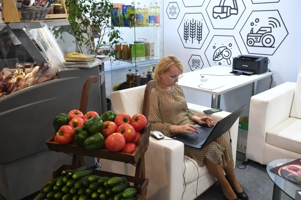 В Хабаровске заработали бесплатные точки Wi-Fi