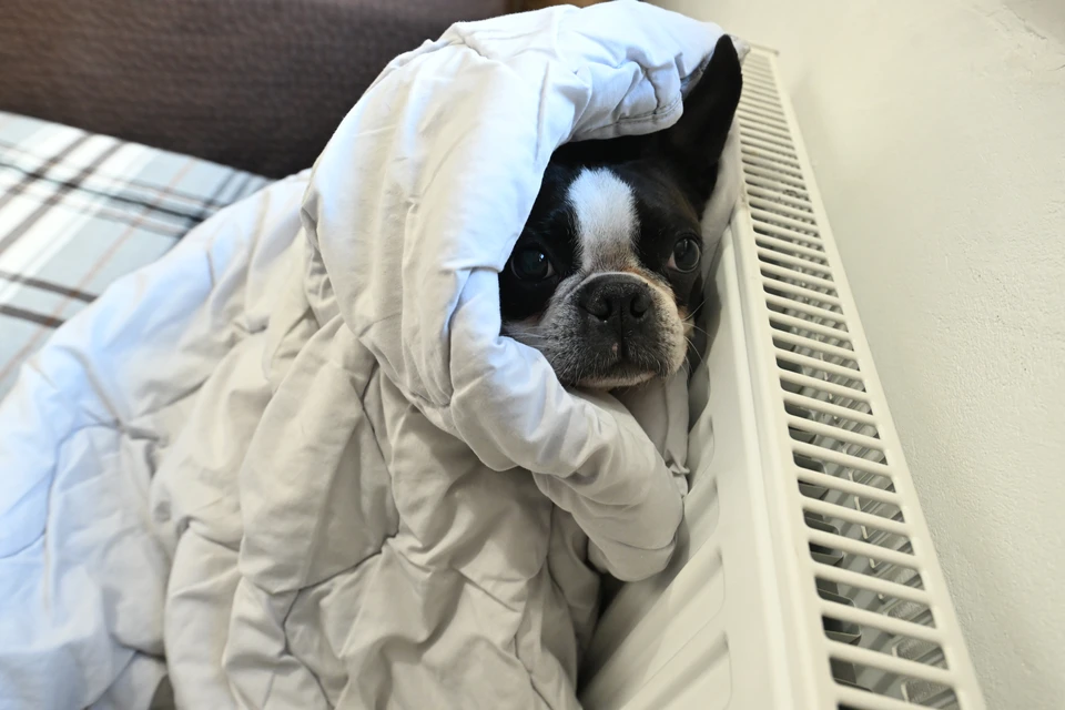 За первые два месяца отопительного сезона зафиксировали 149 аварий.