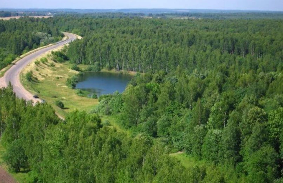 Фото: пресс-служба администрации Костромской области