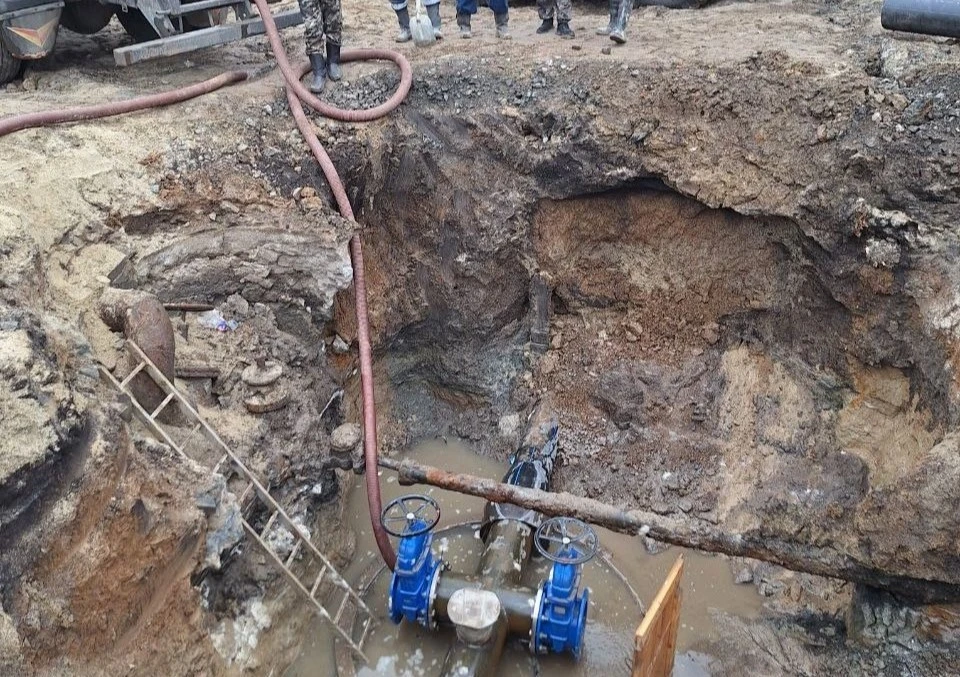 Фото: Светлана Цембалюк.